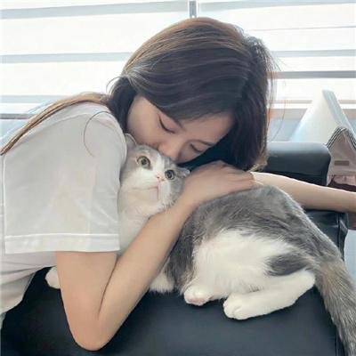 艾莉塔：战斗天使